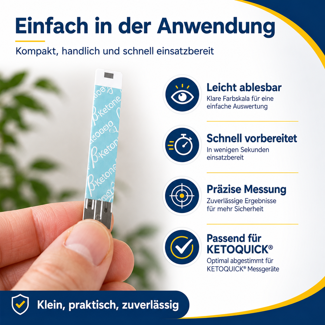 KetoQuick Starterset mit 10 Teststreifen